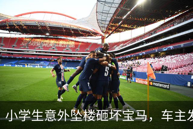 小学生意外坠楼砸坏宝马，车主发声后家长态度大变